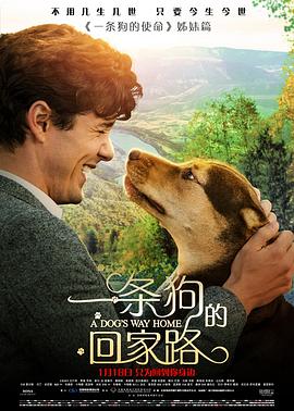 一条狗的回家路(国语版)